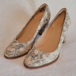 Clarks Women's Kaylin Cara 2 Pumps Faux Snakeskin